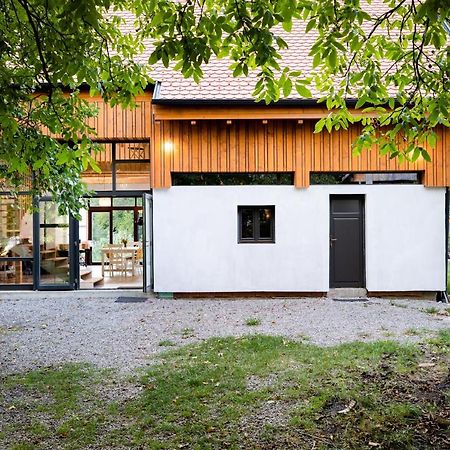 Aster Panzio Bed & Breakfast Cîmpu Cetăţii Bagian luar foto