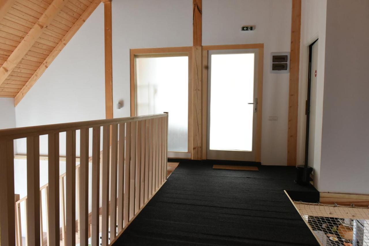 Aster Panzio Bed & Breakfast Cîmpu Cetăţii Bagian luar foto