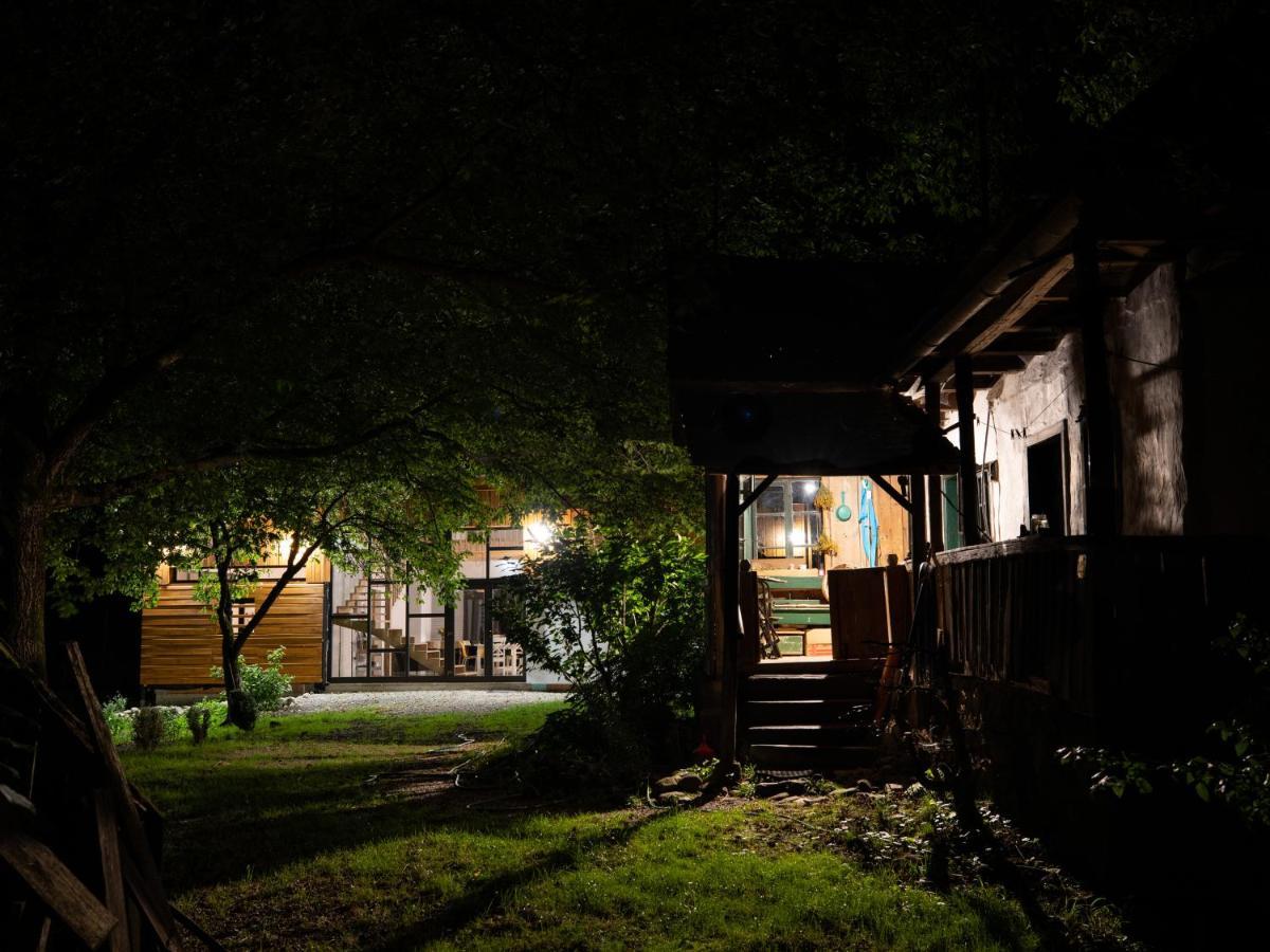 Aster Panzio Bed & Breakfast Cîmpu Cetăţii Bagian luar foto
