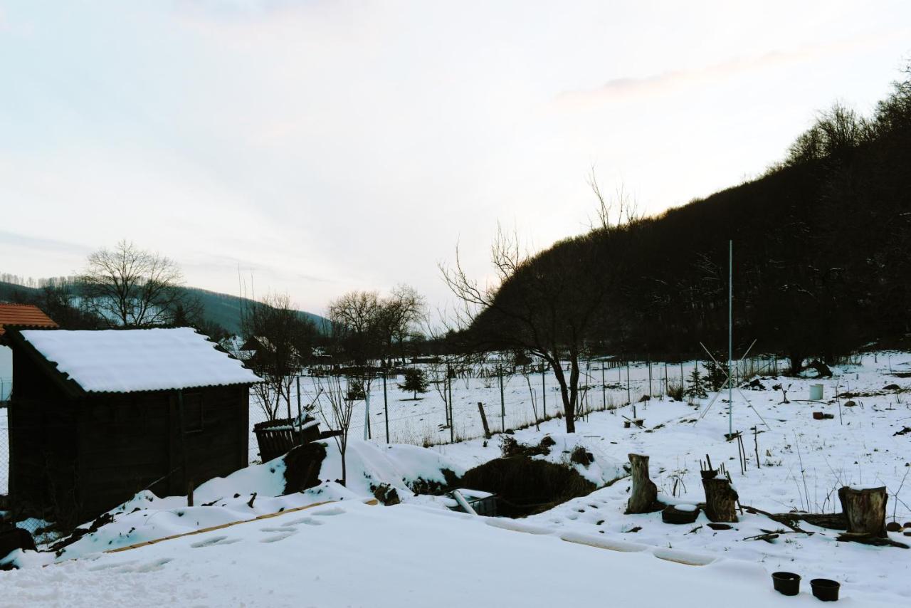 Aster Panzio Bed & Breakfast Cîmpu Cetăţii Bagian luar foto