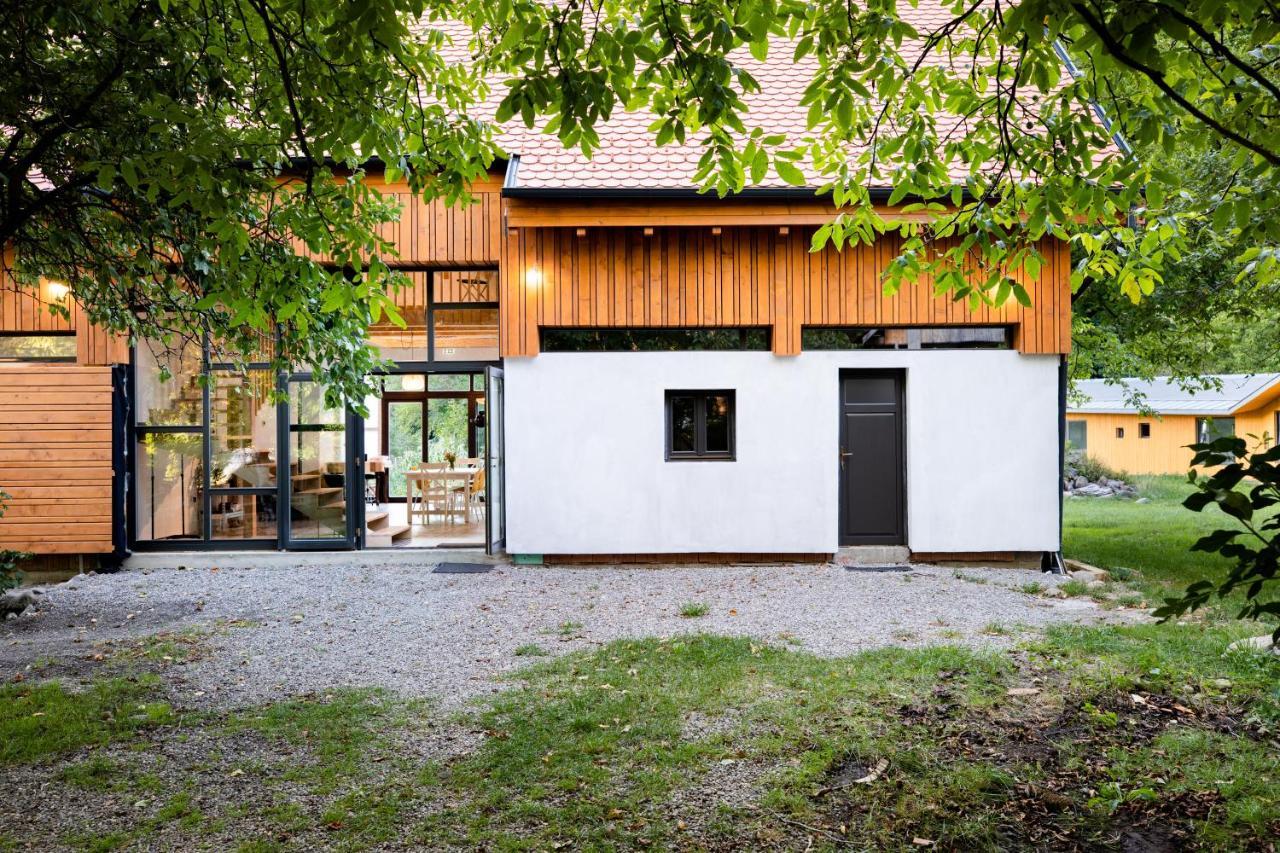 Aster Panzio Bed & Breakfast Cîmpu Cetăţii Bagian luar foto