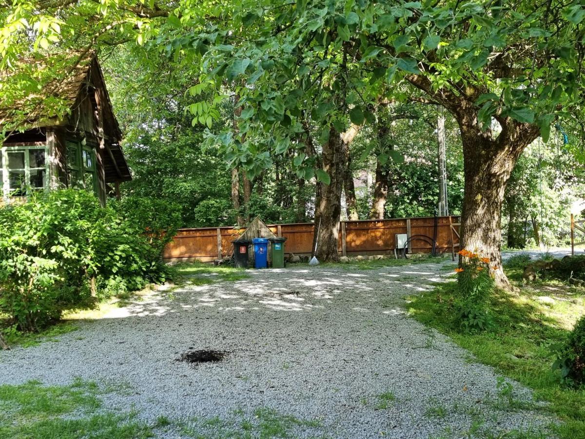 Aster Panzio Bed & Breakfast Cîmpu Cetăţii Bagian luar foto