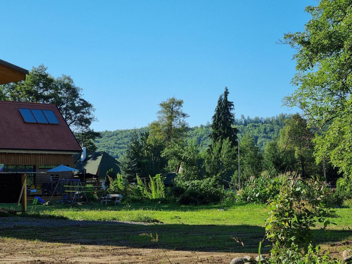 Aster Panzio Bed & Breakfast Cîmpu Cetăţii Bagian luar foto