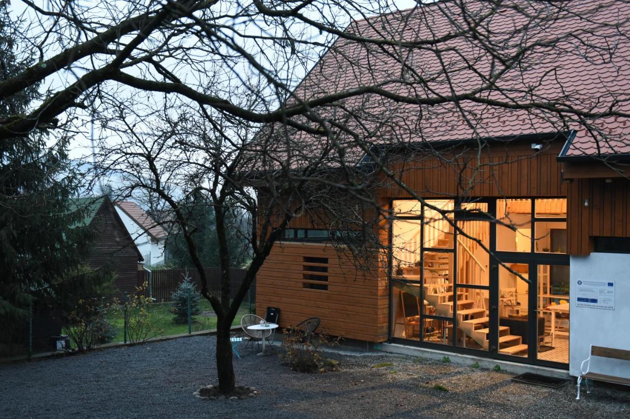 Aster Panzio Bed & Breakfast Cîmpu Cetăţii Bagian luar foto