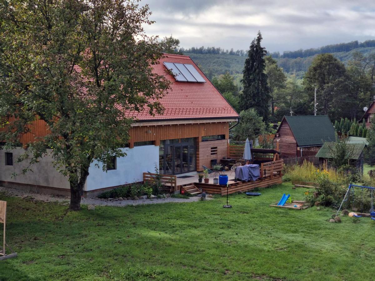 Aster Panzio Bed & Breakfast Cîmpu Cetăţii Bagian luar foto