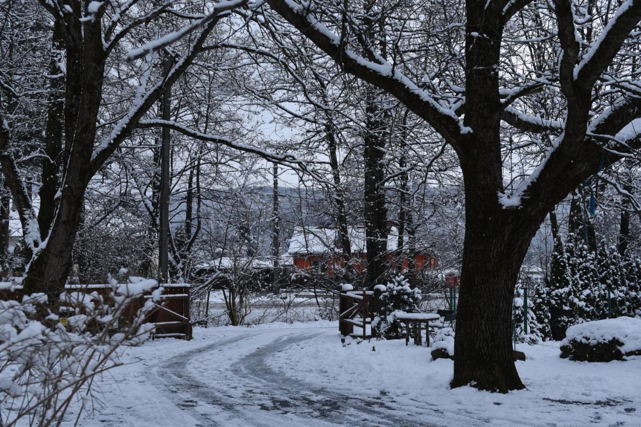 Aster Panzio Bed & Breakfast Cîmpu Cetăţii Bagian luar foto