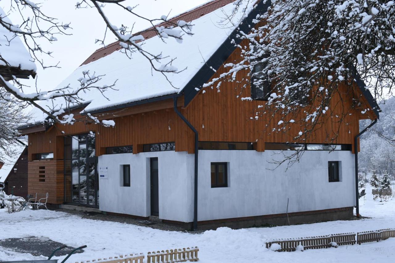 Aster Panzio Bed & Breakfast Cîmpu Cetăţii Bagian luar foto