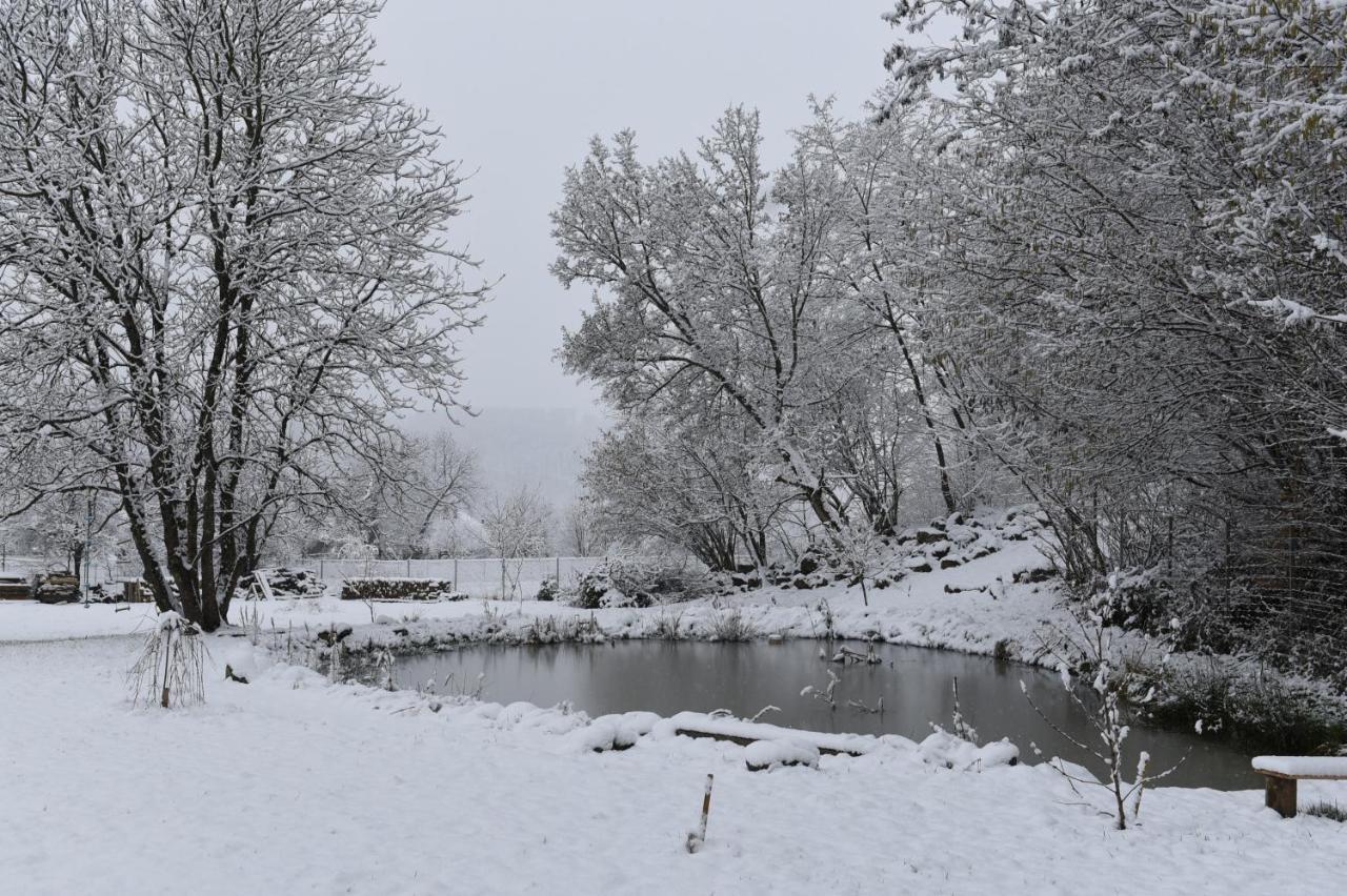 Aster Panzio Bed & Breakfast Cîmpu Cetăţii Bagian luar foto