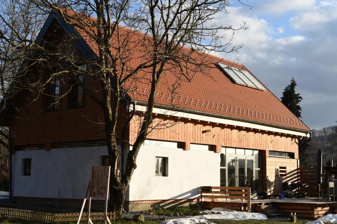 Aster Panzio Bed & Breakfast Cîmpu Cetăţii Bagian luar foto