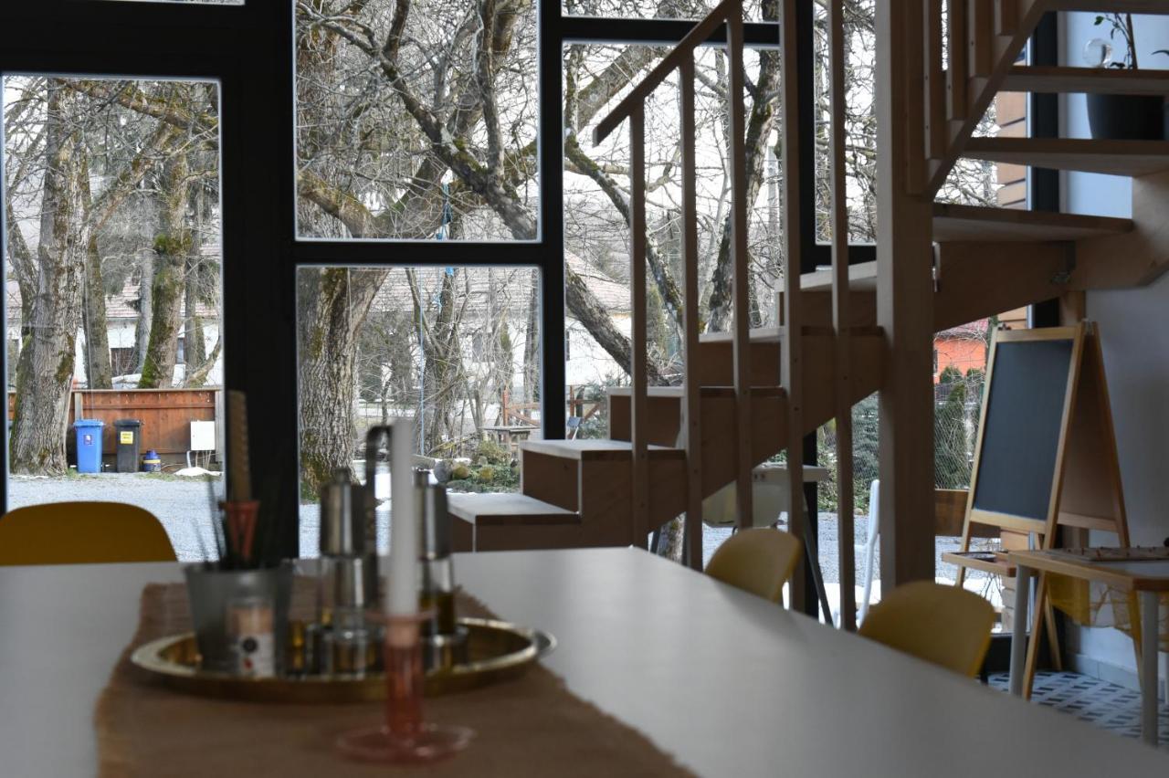 Aster Panzio Bed & Breakfast Cîmpu Cetăţii Bagian luar foto