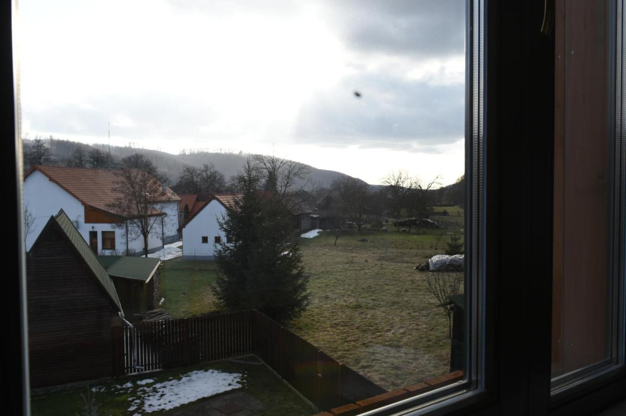 Aster Panzio Bed & Breakfast Cîmpu Cetăţii Bagian luar foto